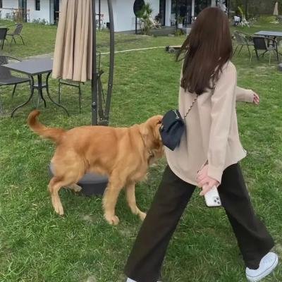 青春四十